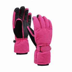 Winter Gloves